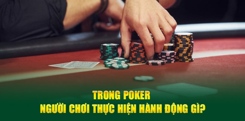 Các hành động trong ván poker