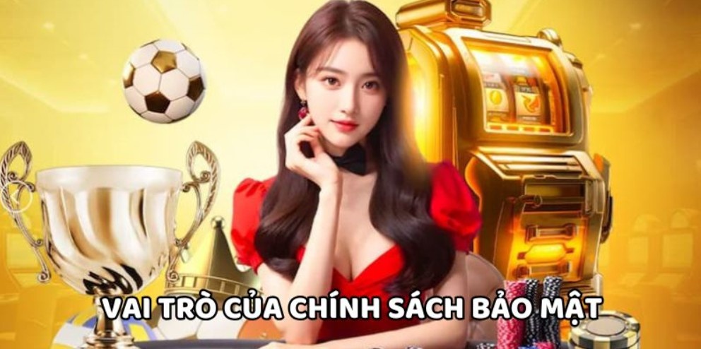 Hệ thống lưu trữ dữ liệu thành viên minh bạch