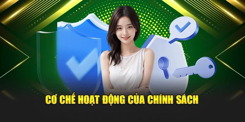 Cơ chế hoạt động của chính sách